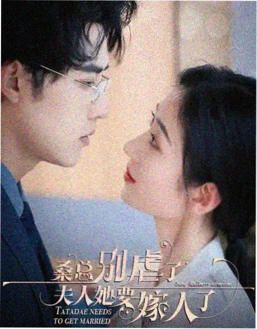 双城谜案电视剧免费观看