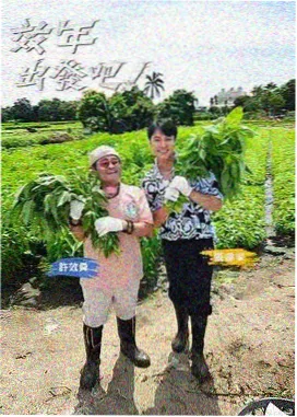 荒野厨房综艺免费在线